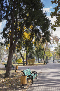 城市公园里美妙的秋天。 城市公园里的孤独长凳。