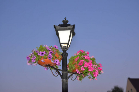 带有复古风格花朵的路灯插画