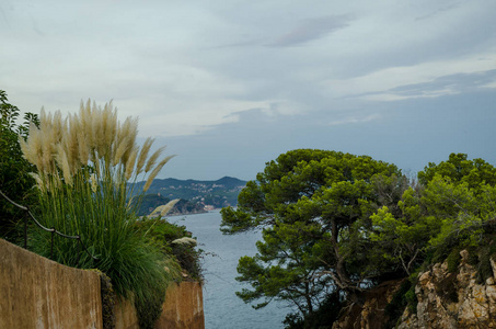 cala de sant francesc, blanes 湾海岸线, 布拉瓦海岸, 西班牙, 加泰罗尼亚的风景