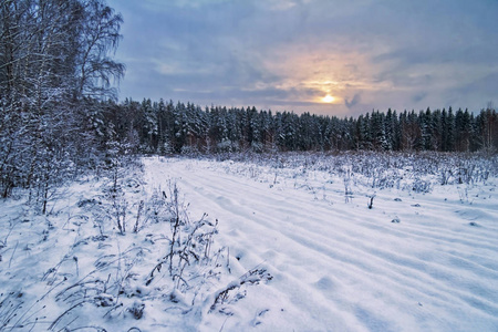 森林附近冬天阴郁的日落。 自然背景。