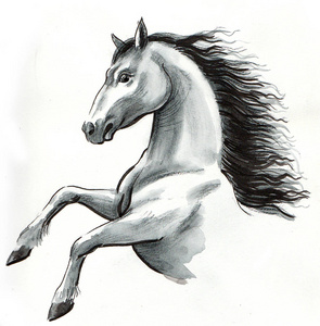 野白马。 墨水和水彩插图