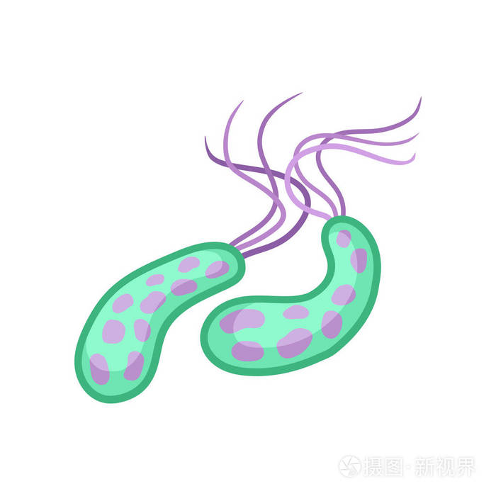 霍乱病毒.病原菌.传染病.微生物学主题.平面矢量设计