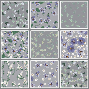 无缝彩色图案，叶和向叶，紫罗兰叶，紫罗兰色的花和白色的简单小花在灰色背景上