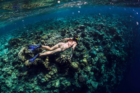 年轻女子自由潜水员探索海洋暗礁，水下照片与潜水员