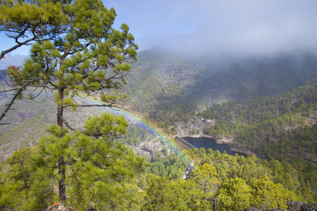 格拉加纳里亚，自然公园松林塔马达巴，俯瞰巴兰科德尔瓦基罗峡谷，小彩虹