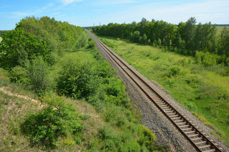 铁路农村景观与树木。 铁路风景