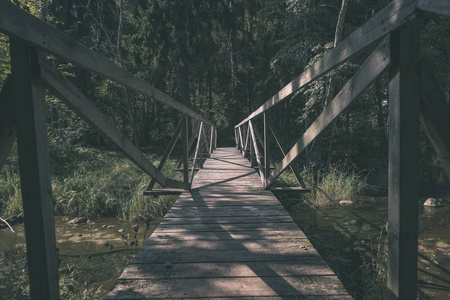 秋天森林中的木板桥图片