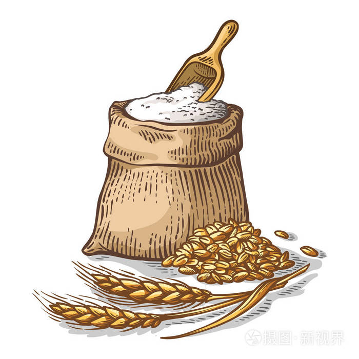 在白色背景上用新鲜面粉和木勺的布拉布的颜色袋插画