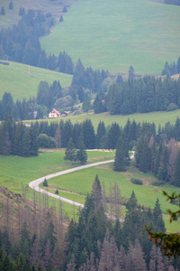 乡村砾石路上的绿色草地，导致斯洛伐克的山区