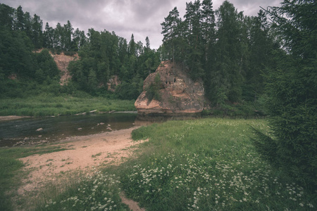 夏天森林里美丽的岩石溪。拉脱维亚塞斯附近的阿马塔河