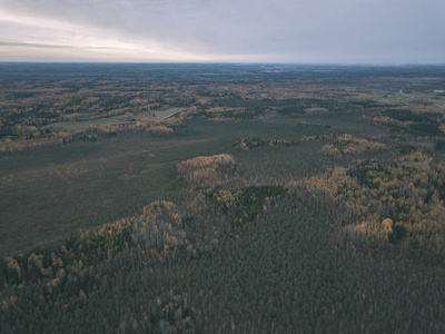 无人机图像。鸟瞰农村地区，田野和森林覆盖在秋雾中。拉脱维亚老式老电影