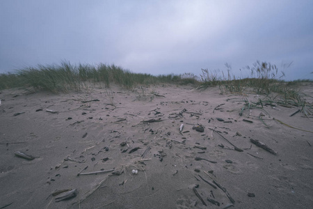 在寒冷的秋天的傍晚，在波罗的海的海滩上，干草在沙滩上弯曲老式的旧电影看起来