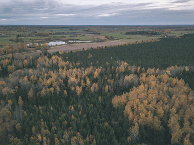 无人机图像。秋天农村地区的鸟瞰图，上面有黄色和红色的树木。拉脱维亚，彩色的一天秋天老式的旧电影看起来