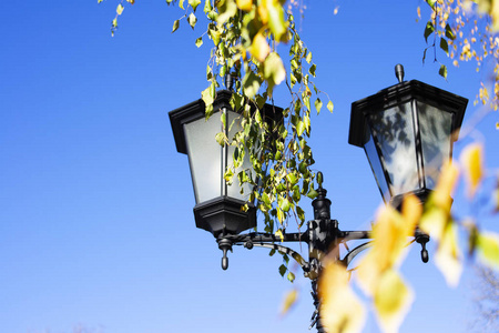 在一个阳光明媚的日子里，两盏灯笼在白桦树的叶子上靠在天空上。 娱乐公园。 中午。