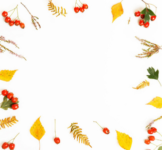 秋季作文。由秋季干多色叶子和野浆果在白色背景的框架。秋季, 秋季的概念。平躺, 顶部视图, 复制空间
