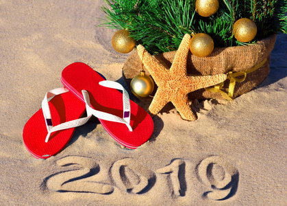 2019年在海滩上。 圣诞树海星和沙滩拖鞋