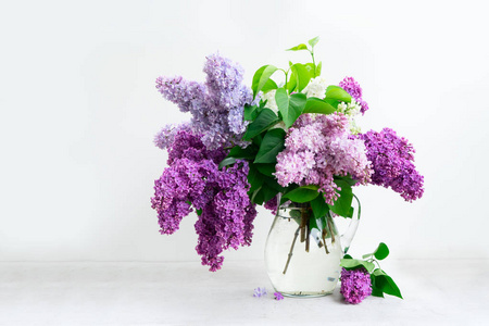 紫丁香鲜花