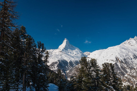 在瑞士泽马特滑雪区，蓝天前有白雪覆盖的树木