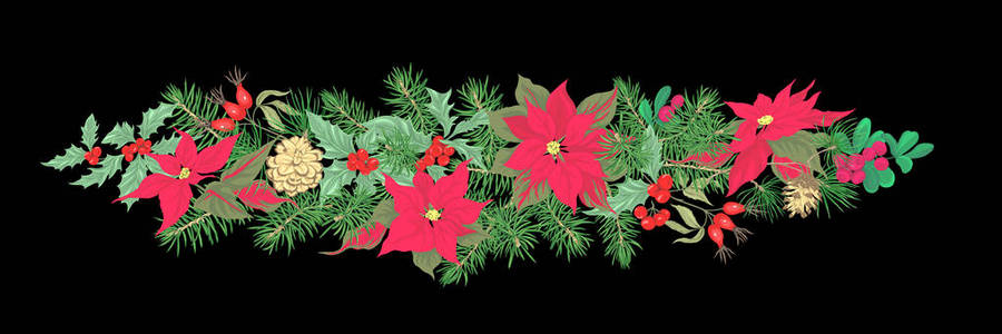 圣诞节装饰，一个由冷杉枝松树冬青槲寄生狗玫瑰制成的花环。孤立在黑色背景上。彩色矢量插图