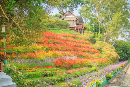 美丽的风景观红花花园和森林中的小别墅在不丹宫泰国。