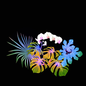 热带植物的组成，棕榈叶怪物和白色兰花，植物风格的彩色矢量插图，霓虹灯荧光颜色。 孤立在黑色背景上。