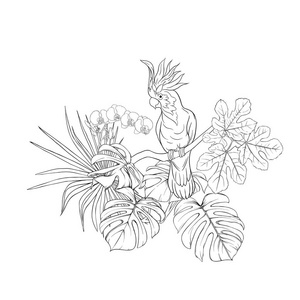 热带植物的组成，棕榈叶怪物和白色兰花与鹦鹉的植物学风格。 轮廓手绘矢量插图。 孤立在白色背景上。