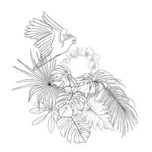 热带植物的组成，棕榈叶怪物和白色兰花与鹦鹉的植物学风格。 轮廓手绘矢量插图。 孤立在白色背景上。