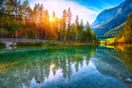 奇妙的秋日日落的腹地湖。 绿松石水附近的美丽的树木景象。 地点度假胜地Ramsau国家公园Berchtesgadener土地上
