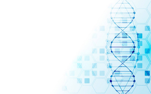 科学模板壁纸或横幅与DNA分子。 矢量图。