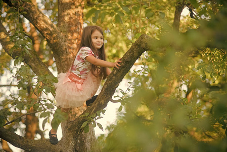 快乐的孩子玩耍在树上的花园里