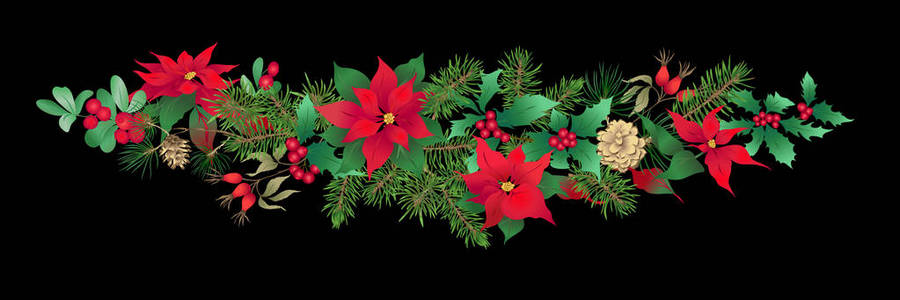 圣诞节装饰一个花圈，由冷杉枝制成，松，冬青，槲寄生，狗玫瑰。 孤立在黑色背景上。 彩色矢量插图