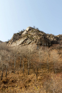 光秃秃的山景