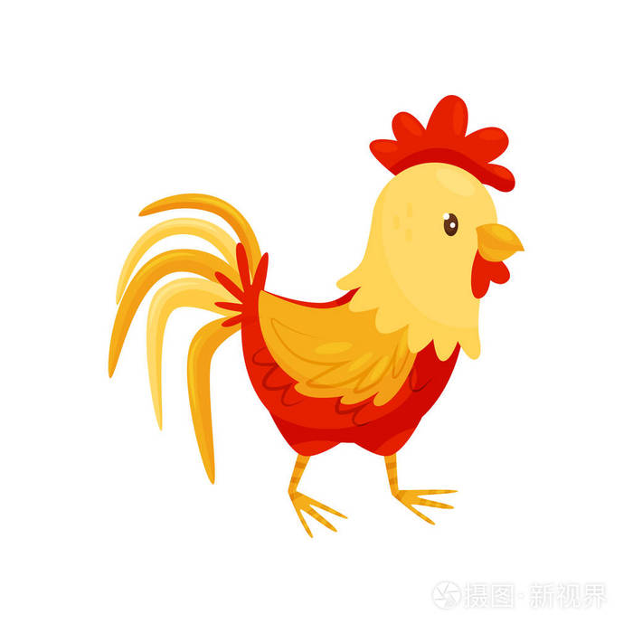 家养家禽.农场动物