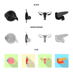 人体和人体标志的矢量例证。身体和医学股票向量例证的汇集
