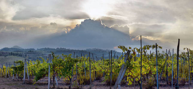  sunset over rolling hills and Tuscany farmland