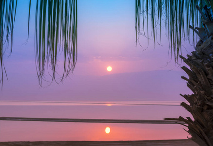 日出在死海上用棕榈树。 以色列