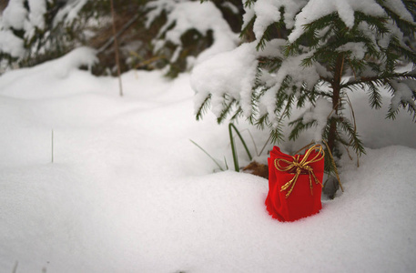 在雪地里带礼物的袋子