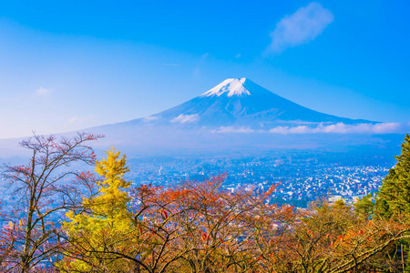 日本大林秋季枫叶树四周美丽的富士山景观，白云蓝天