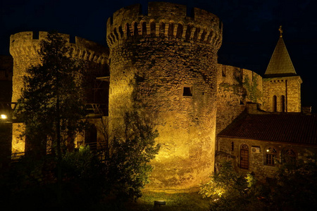 塞尔维亚夜间贝尔格莱德要塞的两座石塔
