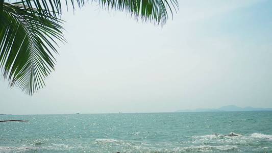 在海的背景下, 白色热带海滩上的棕榈叶。旅行背景