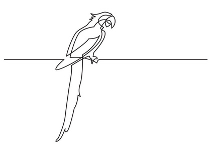 孤立矢量对象鹦鹉连续线绘制