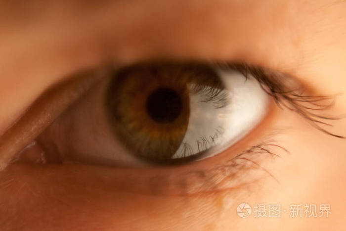 女孩深棕色的近视眼向前看