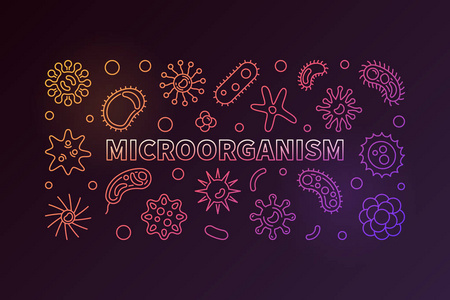 微生物向量五颜六色的轮廓水平横幅