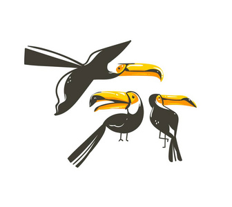 手绘矢量抽象卡通夏季平面装饰插图收藏艺术与异国情调的热带雨林 toucan 鸟查出在白色背景