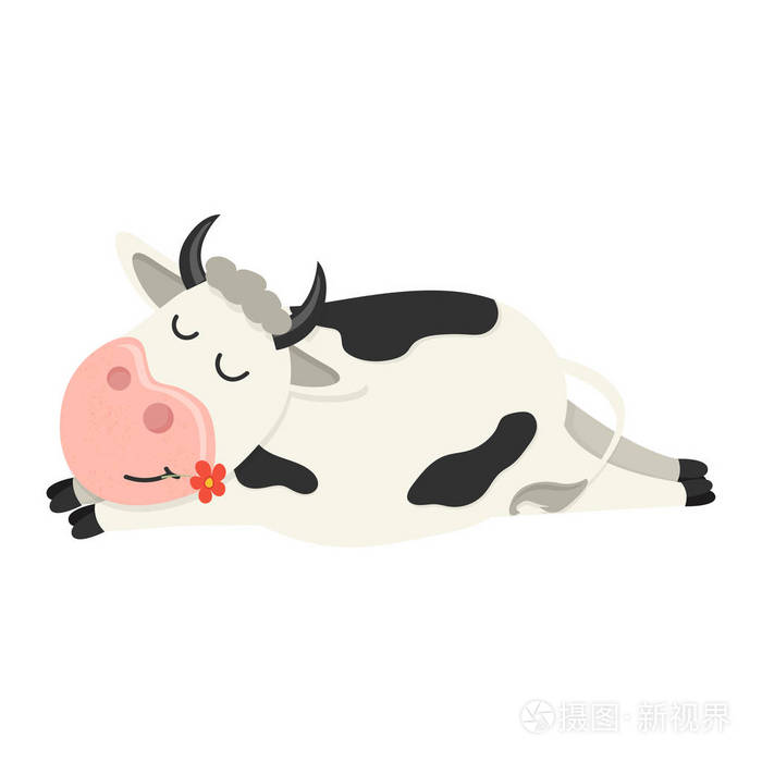 一套可爱的奶牛角色在各种姿势. 你的设计矢量图