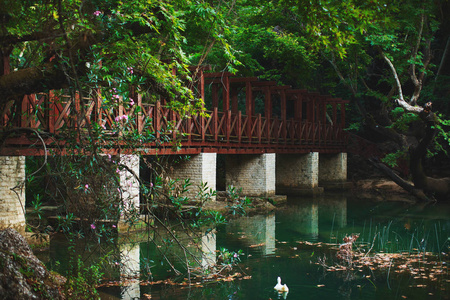 老桥横跨美丽的池塘景观.