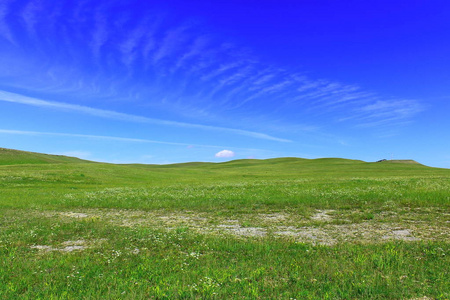 夏天的背景是一片绿色的草地，在喀喀西亚的小山丘上，蓝天上有云