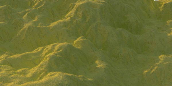 绿色的草丘陵由温暖的阳光照亮与白色背景空中鸟瞰顶部从无人机或飞机。3d 插图渲染