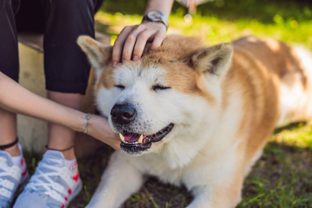 绿茵草地上赤田爱奴女性爱犬的歪视