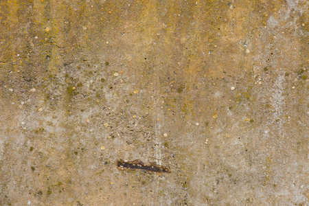 石棉石板纹理混凝土覆盖地衣和苔藓工业材料天然水泥全景空间文本